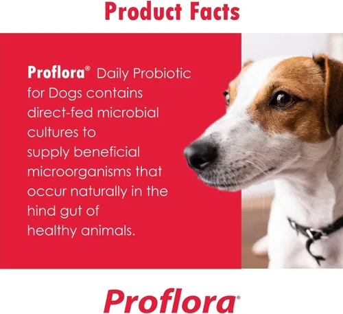 Vista 4 de Probióticos Proflora para perros: salud intestinal completa y apoyo inmunológico. Probióticos digestivos de múltiples cepas fáciles de usar.