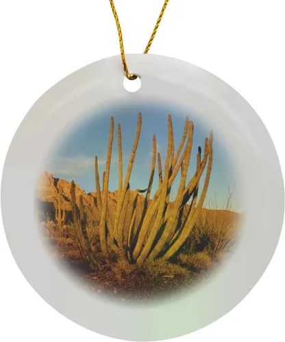 Vista 8 de Adorno de porcelana de copo de nieve de 3 pulgadas - Arizona, tubo de órgano Cactus NM, cordillera AJO