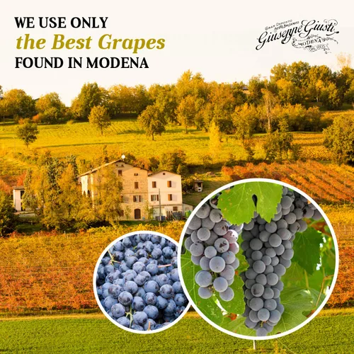 Vista 7 de Giuseppe Giusti - Gran Deposito Aceto Balsamico Di Giuseppe Giusti Moderna & Giusti Giuseppe 5 Medallas de Oro "Banda Rossa" Cubica - Vinagre