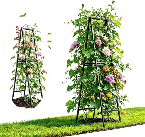 Vista 9 de Zhongma Paquete de 4 enrejados de metal de 24 pulgadas para plantas en macetas que trepan, interior y exterior, enrejado de soporte para plantas