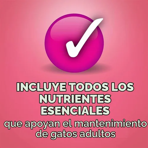 Vista 6 de Friskies Purina Salmon Dinner Pate - Comida húmeda para gatos, 5.5 onzas (paquete de 12)