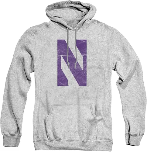 Vista 107 de Distressed College Primary Logo Adult Pullover Hoodie Collection 1 Universidad Estatal de Albany