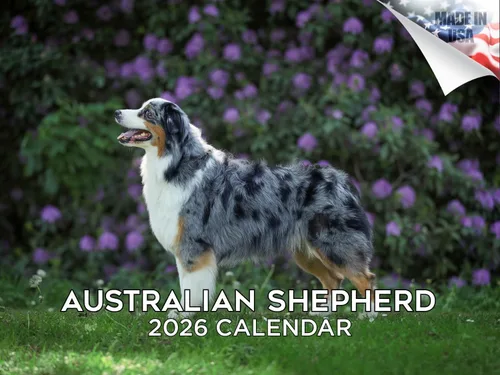 Vista 144 de Calendario de Lebrel Afgano 2025 2026, calendario mensual de pared de raza canina, 12" x 18" abierto, papel grueso sin traspaso, ideal para regalo