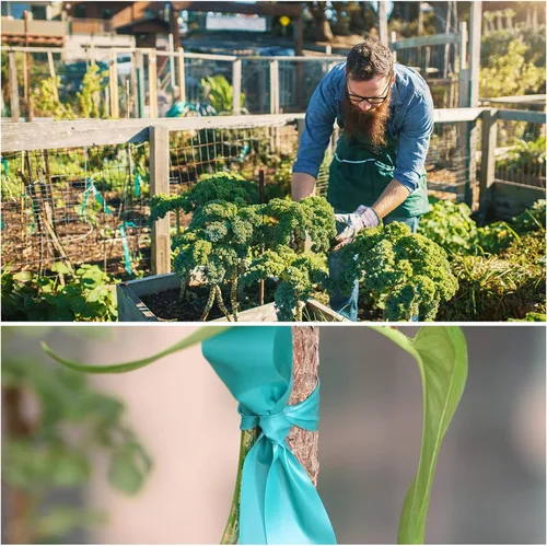 Vista 6 de TELENT OUTDOORS Cinta de amarre elástica, 1 pulgada de ancho y 200 pies, reutilizables, para plantas de jardín, cintas verdes para plantas, cinta