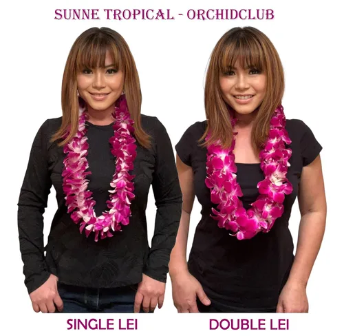 Vista 4 de Miami Fresh Orchid Flower OrchidClub USA Sunne Tropical Cabeza de floración suelta DIY Lei comida bebida decoración púrpura (Queen Purple Sonia 50)