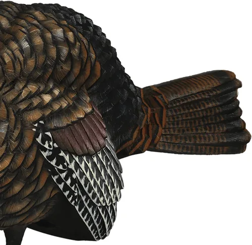 Vista 5 de Avian X LCD 1/2 Strut Jake - Señuelo de pavo