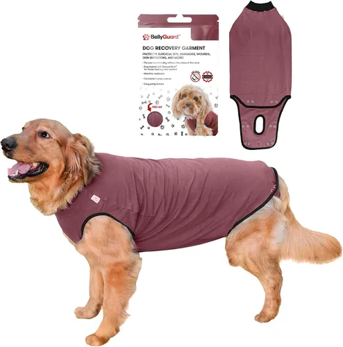 Vista 20 de Traje de Recuperación Quirúrgica BellyGuard para Perros, Mameluco para Perros para Cuidado Post-Operatorio, Ropa de Recuperación para Perros Hembra