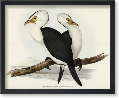 Vista 38 de Poster Master Póster vintage de James Audubon – Impresión retro de amargo americano – Arte de aves de América – Regalo para hombres, mujeres