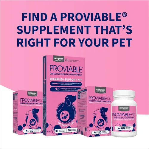 Vista 11 de Nutramax Proviable Probióticos para Perros y Gatos, Suplemento Diario para la Salud Digestiva con Múltiples Cepas de Bacterias, Probióticos