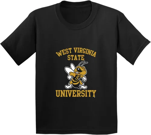 Vista 93 de NCAA Arch Logo, camiseta juvenil color del equipo, universidad - universidad