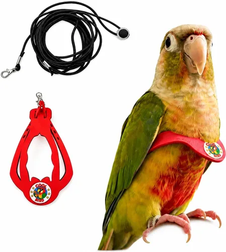 Vista 27 de Juego de arnés ajustable y correa para pájaros pequeños, apto para periquitos, conures, cacatúas, mejillas verdes, loros cuáqueros (verde, XS) 6350-6