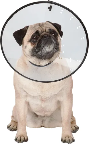 Vista 7 de Collares isabelinos — Collares de plástico duraderos que evitan que las mascotas laman las zonas heridas – XS, transparente