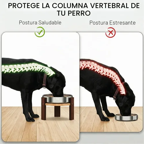 Vista 4 de Feedoo Soporte elevado para cuenco para perros, soporte elevado de 6 pulgadas de altura para perros medianos, incluye 2 tazas de acero inoxidable