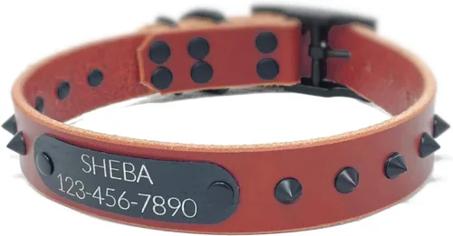 Vista 5 de Personalized Spiked Bridle Leather Dog Collar, Engraved Matte Black Metal Nameplate (Mustard Yellow)