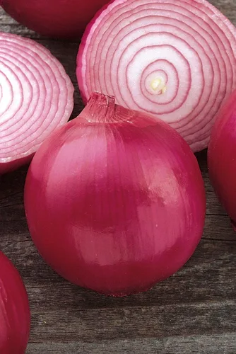 Vista 2 de Burpee Semillas de Cebolla Criolla Roja 300 semillas Criollo Rojo