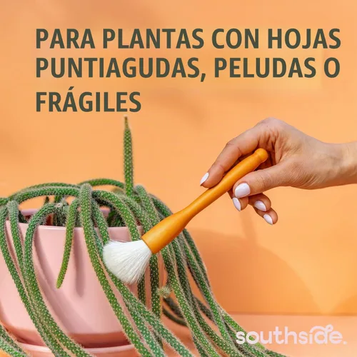Vista 2 de Southside - Cepillos de limpieza para plantas suculentas y cactus, asas de madera con cerdas suaves de pelo de cabra, herramientas de limpieza
