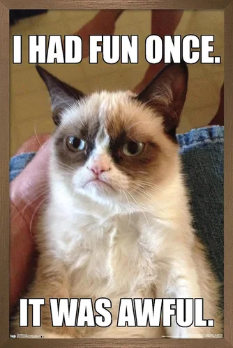 Vista 14 de Trends International Grumpy Cat - Póster de pared divertido, 22.375 x 34 pulgadas, versión enmarcada plateada Versión con marco plateado