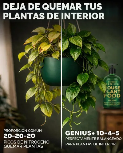 Vista 2 de Alimento vegetal para plantas de interior, fácil de limpiar, fertilizante