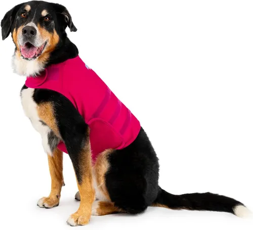 Vista 10 de Camisa Mellow Shirt para calmar la ansiedad de perros, Cypress