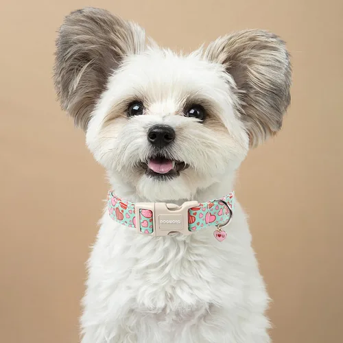 Vista 166 de DOGWONG Collar para perro de San Valentín, collar ajustable de algodón con corazón de caramelo azul, perfecto para perros pequeños a medianos