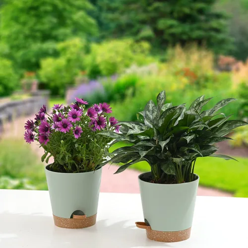 Vista 7 de Macetas para Plantas 6 PCS 5 pulgadas Macetas de Riego Automático Alto Drenaje Maceta de Flores para Plantas de Interior y Exterior con Bandeja