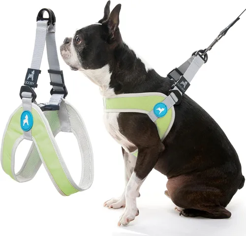 Vista 3 de Gooby Simple Step in III - Arnés para perro, verde, extra pequeño - Arnés para perros pequeños con chaqueta exterior resistente a los rasguños