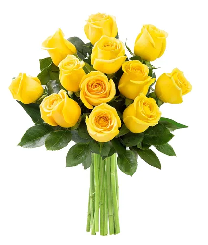 Vista 13 de KaBloom - Rosas arcoíris (media docena)- Flores frescas para cumpleaños, San Valentín y Día de la Madre