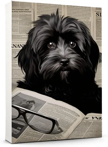 Vista 39 de Thuan Affenpinscher - Póster de lienzo con tus fotos, arte de pared para decoración del hogar, regalo conmemorativo para amantes de las mascotas