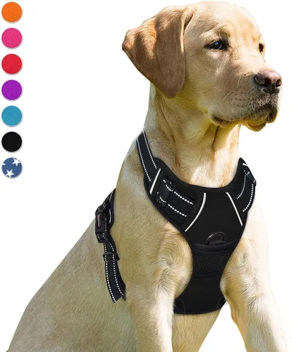 Vista 144 de BARKBAY - Arnés para perro sin tirones con clip frontal, material resistente y reflectante, asa de fácil control para pasear perros grandes