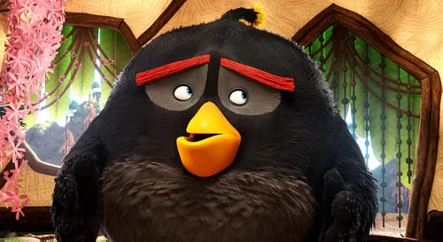 Vista 5 de Angry Birds Collection - 7 DVD Boxset ( Angry Birds Angry Birds Toons Angry Birds Stella Piggy Tales ) NON-USA FORMAT, PAL, Reg.2 Import - France