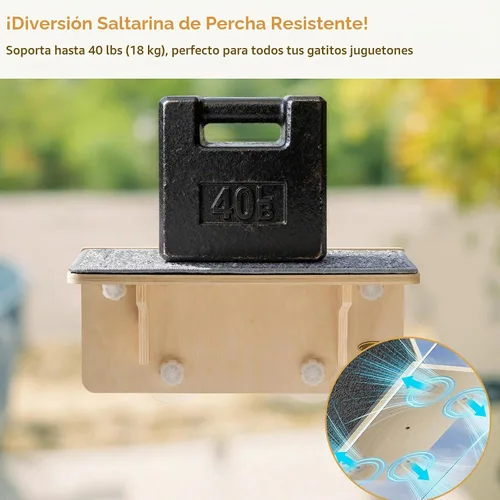 Vista 5 de Pecute - Percha para ventana de gato 2 en 1 y estantes de pared, hamaca