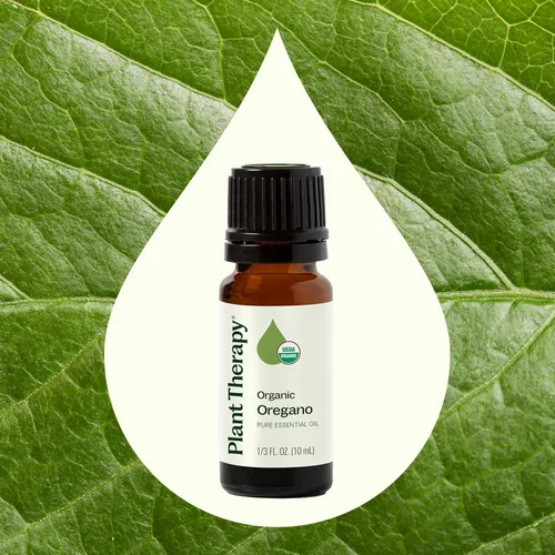 Vista 4 de Aceite esencial de orégano orgánico Plant Therapy, certificado USDA