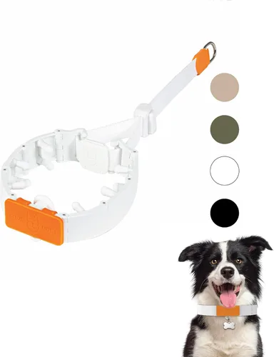 Vista 12 de SVD.PET Collar de punta para perro para entrenamiento sin tirones, hebilla de liberación rápida ajustable para perros pequeños