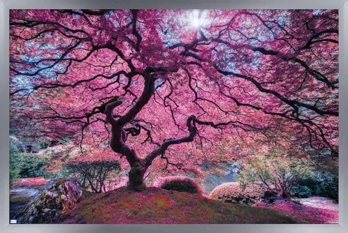 Vista 11 de Trends International Póster de pared Pink Tree 2 de Moises Levy, 22.4 pulgadas de largo x 14.7 pulgadas, versión enmarcada en madera de granero