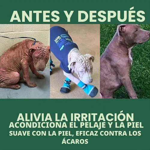 Vista 4 de EcoMange Mange Relief for Dogs & Cats - Alivio de la picazón de gatos y perros, 8 onzas, spray sarcóptico y demodéctico para ácaros - Extracto
