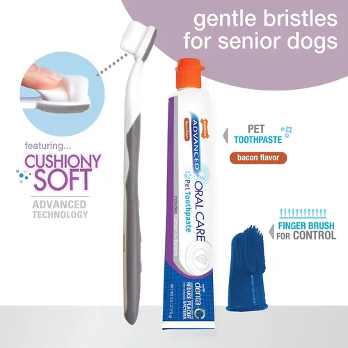 Vista 3 de Nylabone Advanced Oral Care - Kit dental para perros mayores con cepillo de dientes de cerdas suaves y acolchadas, 3