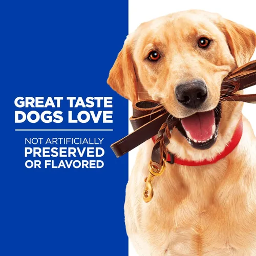 Vista 3 de Hill de la Ciencia dieta Formación de Adultos Treat Bolsa para perro, 3 oz