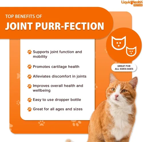 Vista 3 de LIQUIDHEALTH Pets Liquid Cat Glucosamine Joint Purr-Fection - Apoyo para Alivio de Salud de Cadera y Articulaciones, Goteros Felinos de Condroitina