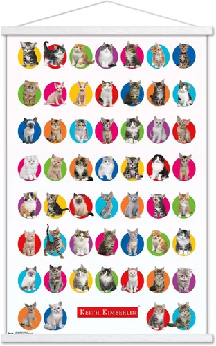 Vista 20 de Trends International Keith Kimberlin - Póster de pared de cuadrícula de gatito, 14.725 x 22.375 pulgadas, versión enmarcada de madera de granero