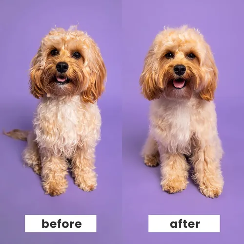 Vista 7 de Pet Teezer by Tangle Teezer - Cepillo para perros pequeños y desenredantes