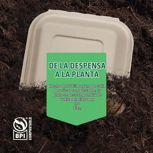 Vista 5 de Recipientes de alimentos 100% compostables para llevar