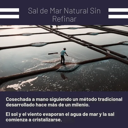 Vista 6 de Le Marinier Sal marina francesa extra fina, 8.81 onzas – 0.6 libras. Sal celta orgánica, 100% natural, rica en minerales, sin refinar, cosechada a
