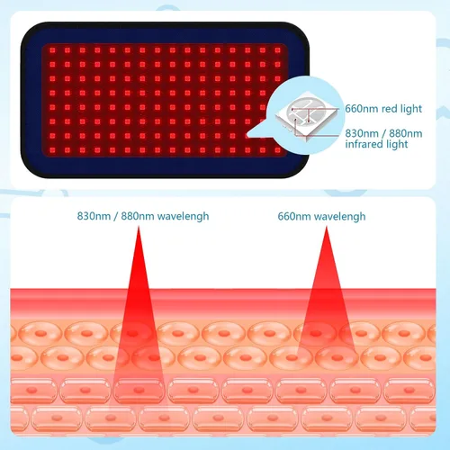 Vista 3 de Cinturón de terapia de luz infrarroja roja para aliviar el dolor de mascotas, dispositivo portátil de terapia con láser frío para reparación
