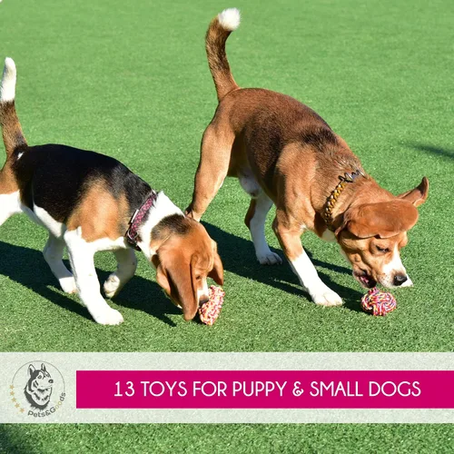 Vista 3 de Pets&Goods Juguetes masticables de cuerda – Paquete de 13 juguetes duraderos de algodón para cachorros y perros pequeños – Juguetes de cuerda