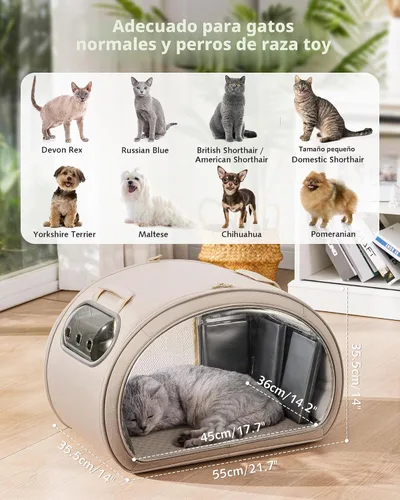 Vista 7 de Pecute Casa de refrigeración para gatos, con alfombrilla de refrigeración para perros pequeños, cama interior para gatos con aislamiento y 6 bolsas