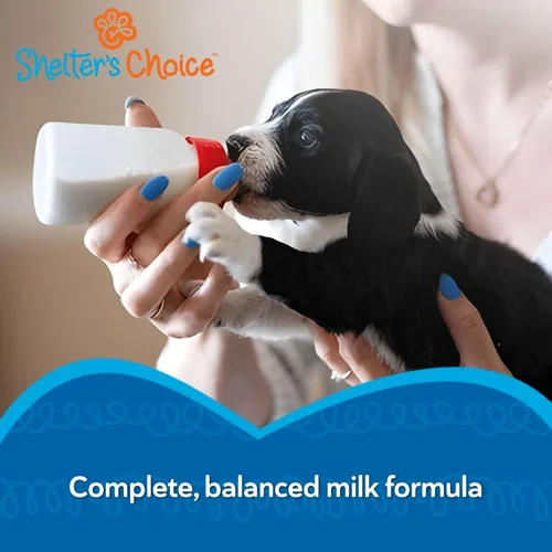 Vista 2 de Revival Animal Health Shelter's Choice Kitten - Reemplazo de leche en polvo, fórmula de leche completa y equilibrada para gatitos y gatos adultos