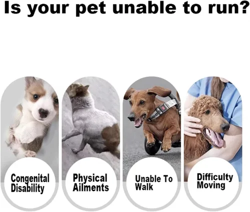 Vista 6 de Silla de ruedas para perro de 2 ruedas, silla de ruedas ajustable para patas traseras, carritos para perros pequeños y medianos para discapacitados