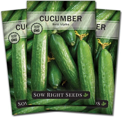 Vista 7 de Sow Right Seeds - Semillas de pepino Beit Alpha para plantar - Paquete de reliquia sin OMG con instrucciones para plantar y cultivar un huerto