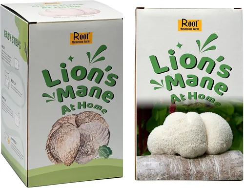 Vista 5 de Kit para cultivar melena de león (un kit), tronco de 3.2 libras