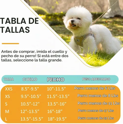 Vista 6 de Juego de Arnés y Correa para Perro - Arnés Sin Tirones Suave y Transpirable para Perros Pequeños, Chaleco Reflectante Ajustable Step-in para Caqui
